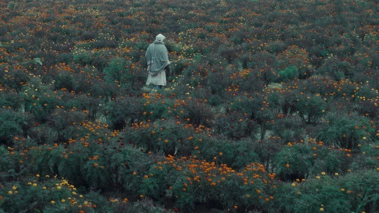 The Calf Doll (2026)